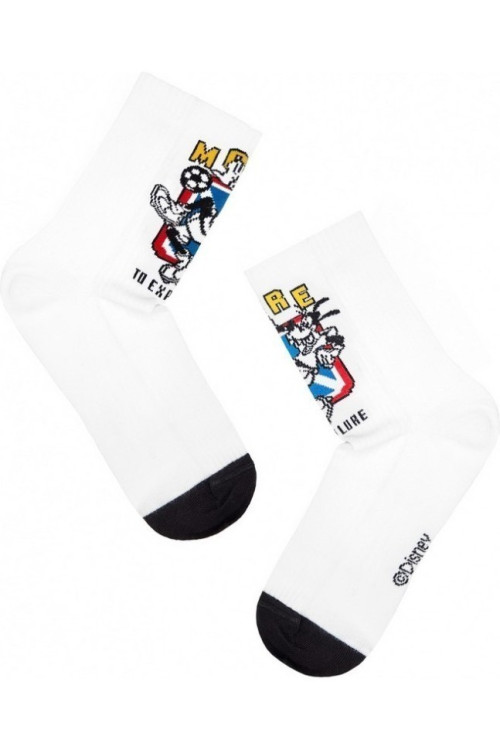 Шкарпетки чоловічі Diwari Disney 17С-168СПМ (369)