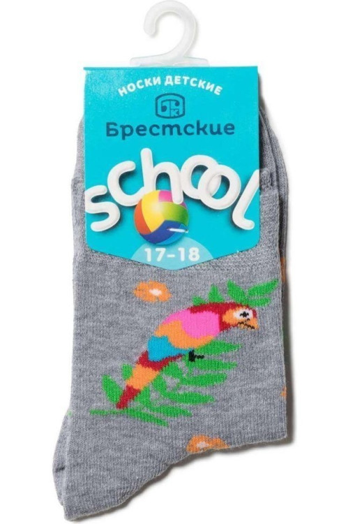 Шкарпетки дитячі Брестські School 3081 (192)